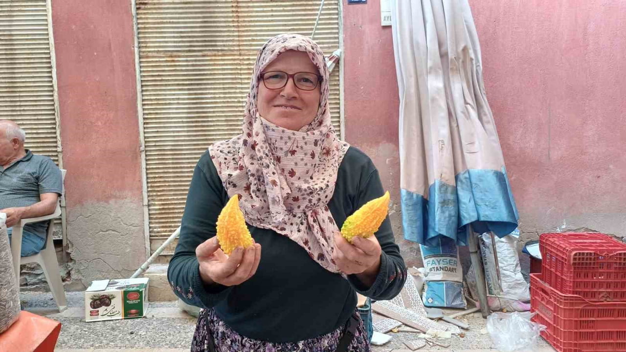 ANAVATANI HİNDİSTAN OLARAK BİLİNEN VE PEK ÇOK HASTALIĞA FAYDALI OLDUĞU SÖYLENEN KUDRET NARI...