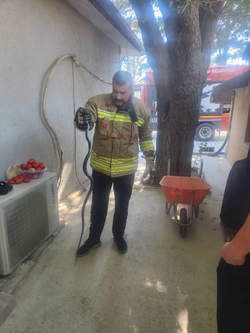 ANTAKYA GÜZELBURÇ MAHALLESİ’NDE EVİN İÇERİSİNDE YAKALANAN YILAN VE EKİPLERİN...