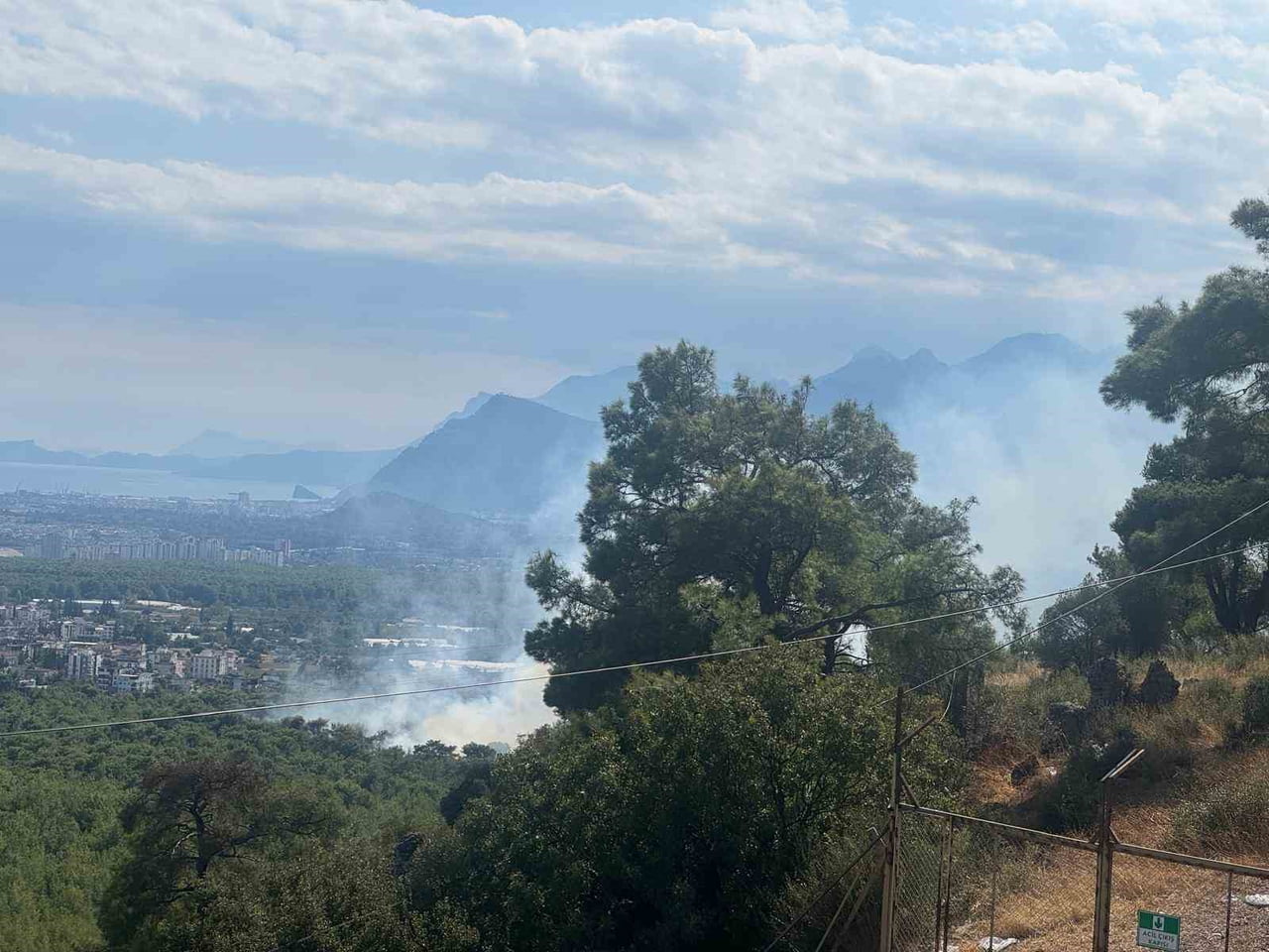 ANTALYA'DA ÇIKAN ORMAN YANGINA HAVADAN VE KARADAN MÜDAHALEDE BULUNUYOR