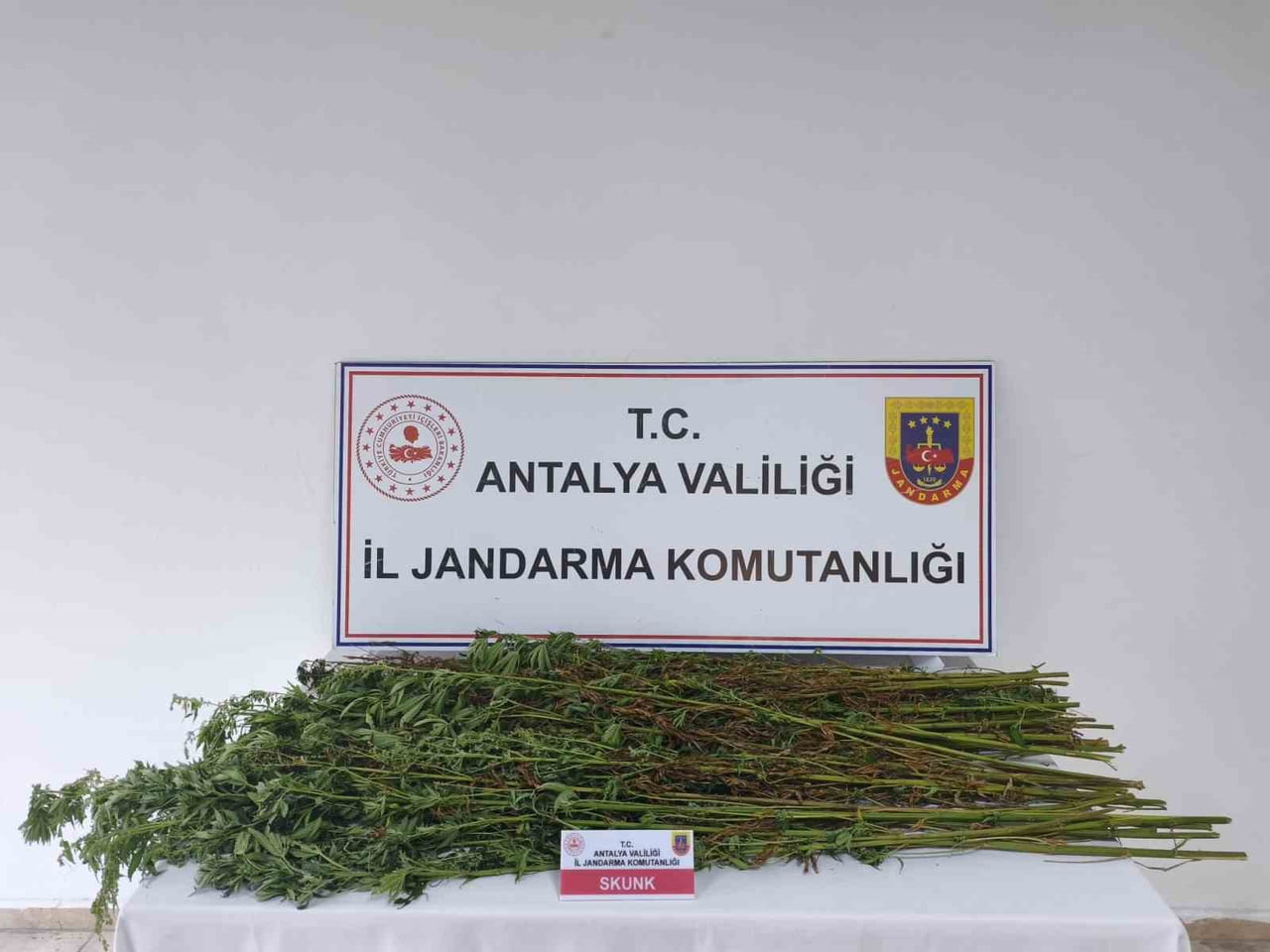 ANTALYA'NIN SERİK İLÇESİNDE JANDARMA EKİPLERİNCE DÜZENLENEN UYUŞTURUCUYLA MÜCADELE OPERASYONUNDA...