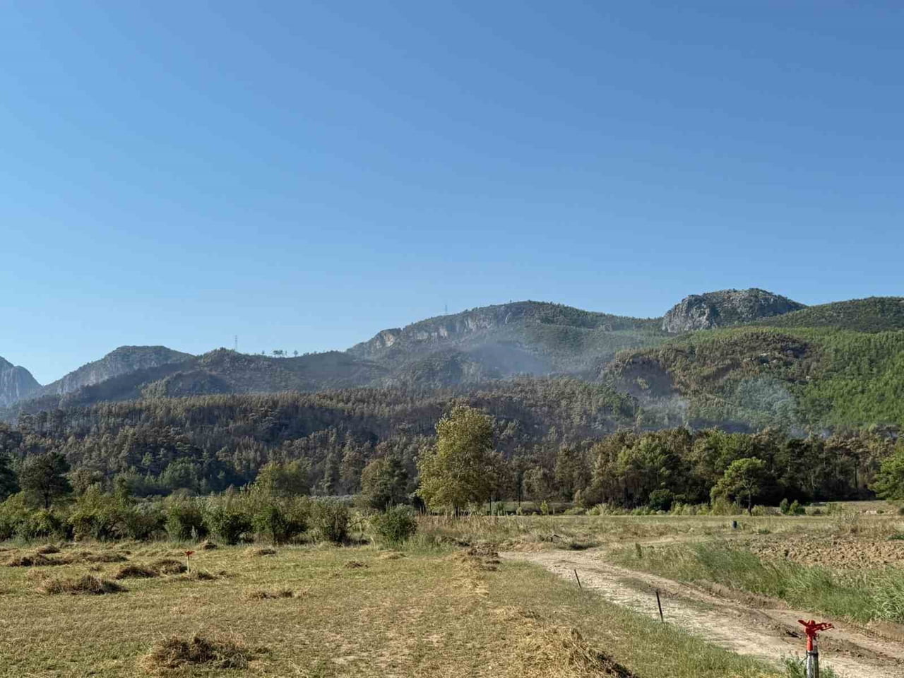 ANTALYA'NIN SERİK İLÇESİNDE ORMAN DIŞI ALANDA ÇIKAN YANGIN BÜYÜK ORANDA KONTROL ALTINA...