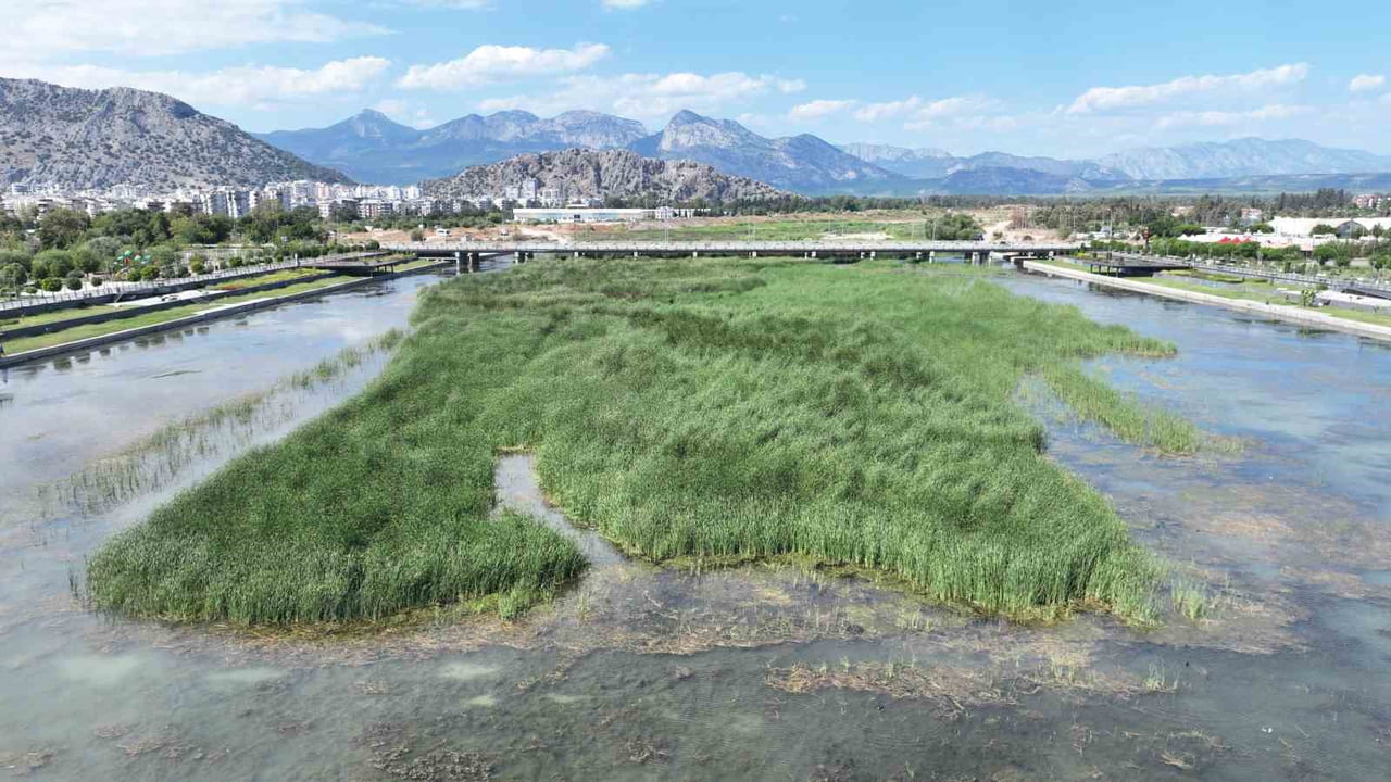 ANTALYA’DA BOĞAÇAYI’NDA KİRLİLİK TARTIŞMALARI SÜRERKEN, BÜYÜKŞEHİR BELEDİYESİ BU YIL 320 TON SUCUL...