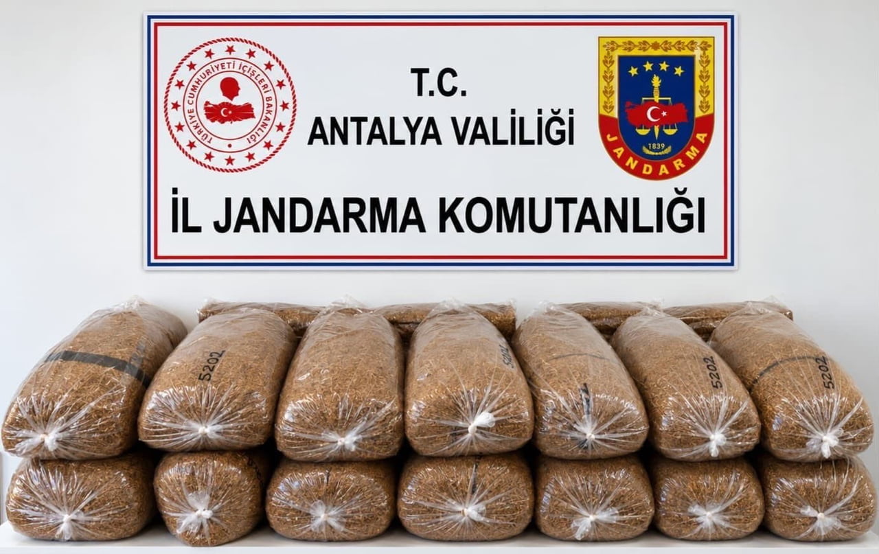 ANTALYA’NIN ALANYA İLÇESİNDE JANDARMA EKİPLERİNCE DÜZENLENEN OPERASYONDA, KOLİLER İÇERİSİNDE 144...