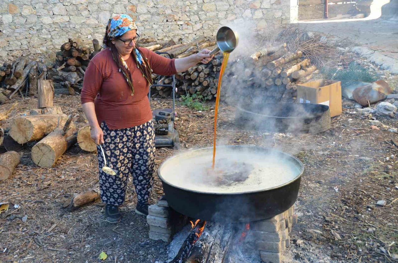 ANTALYA’NIN İBRADI İLÇESİNDE ASIRLIK BAĞLARDAN TOPLANAN ÜZÜMLER, YÖREDE YAŞAYAN KADINLARIN...