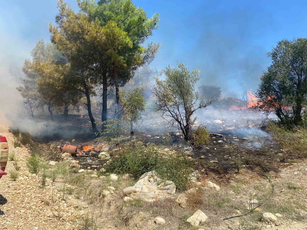 ANTALYA’NIN SERİK İLÇESİNDE ZİRAİ ALANDA ÇIKAN YANGIN, ORMANLIK ALANA VE SERALARA SIÇRAMADAN...