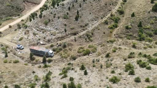 Arıcıların 240 kovanlık ‘bal tırı' yaylalarda: Çiçekten çiçeğe doğal bal