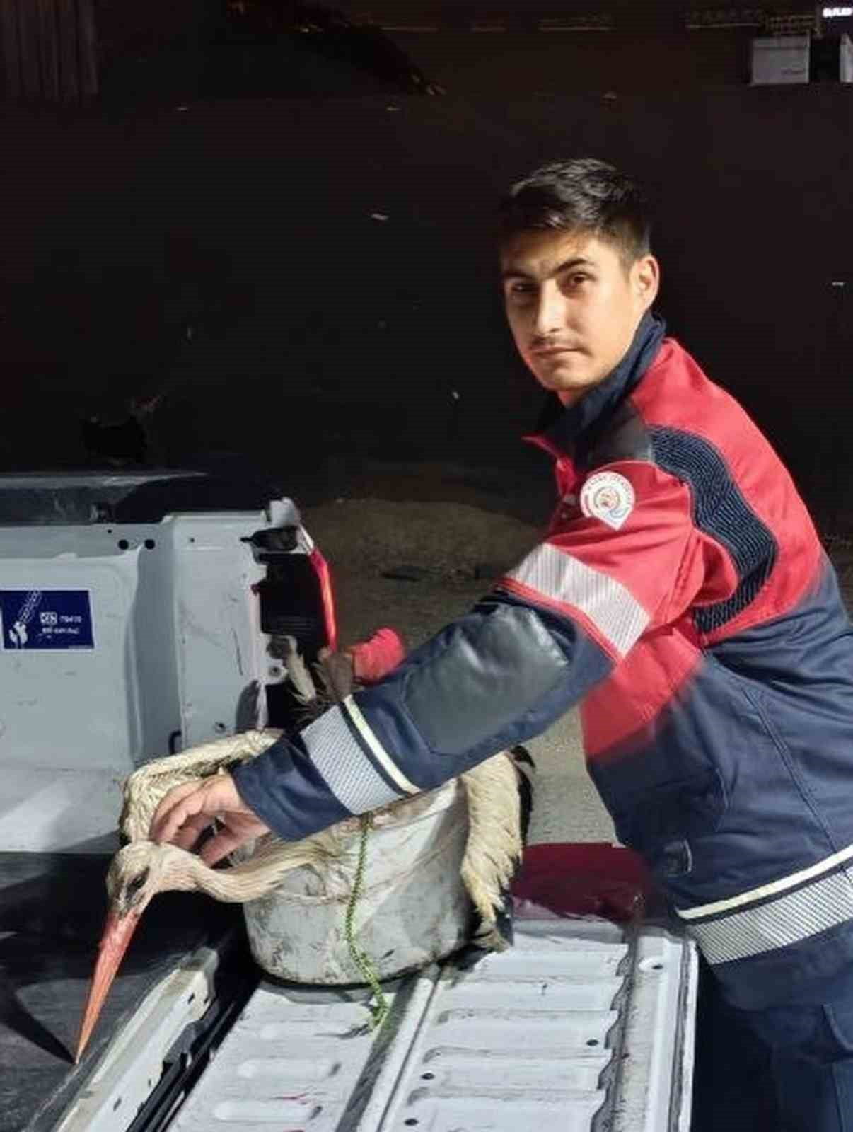 ARSUZ KARAAĞAÇ SAHİLİ’NDE KAYALIKLARDA YORGUN DÜŞEN LEYLEK EKİPLER TARAFINDAN KURTARILDI