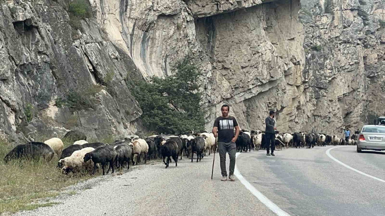 ARTVİN’İN BİLBİLAN YAYLASI’NDA YAZ AYLARINI GEÇİREN BESİCİLER, HAVALARIN SOĞUMASIYLA BİRLİKTE...