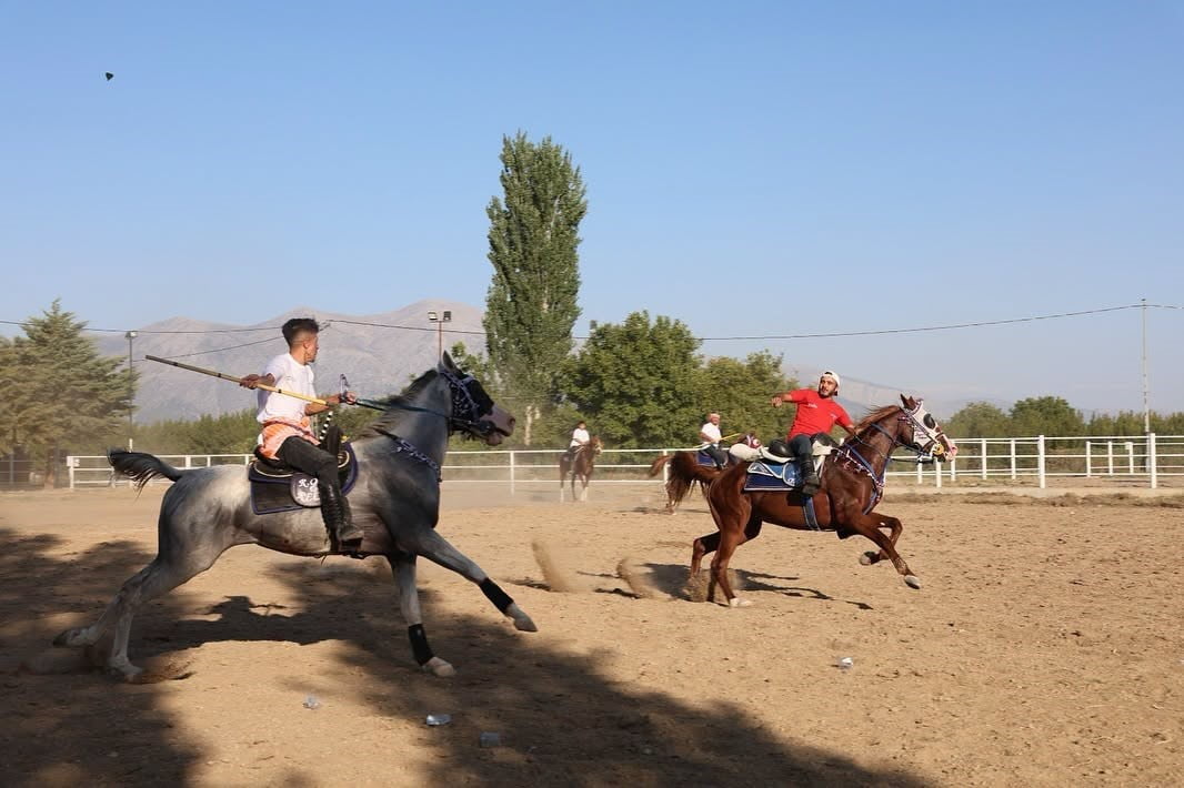 ATLI CİRİT
