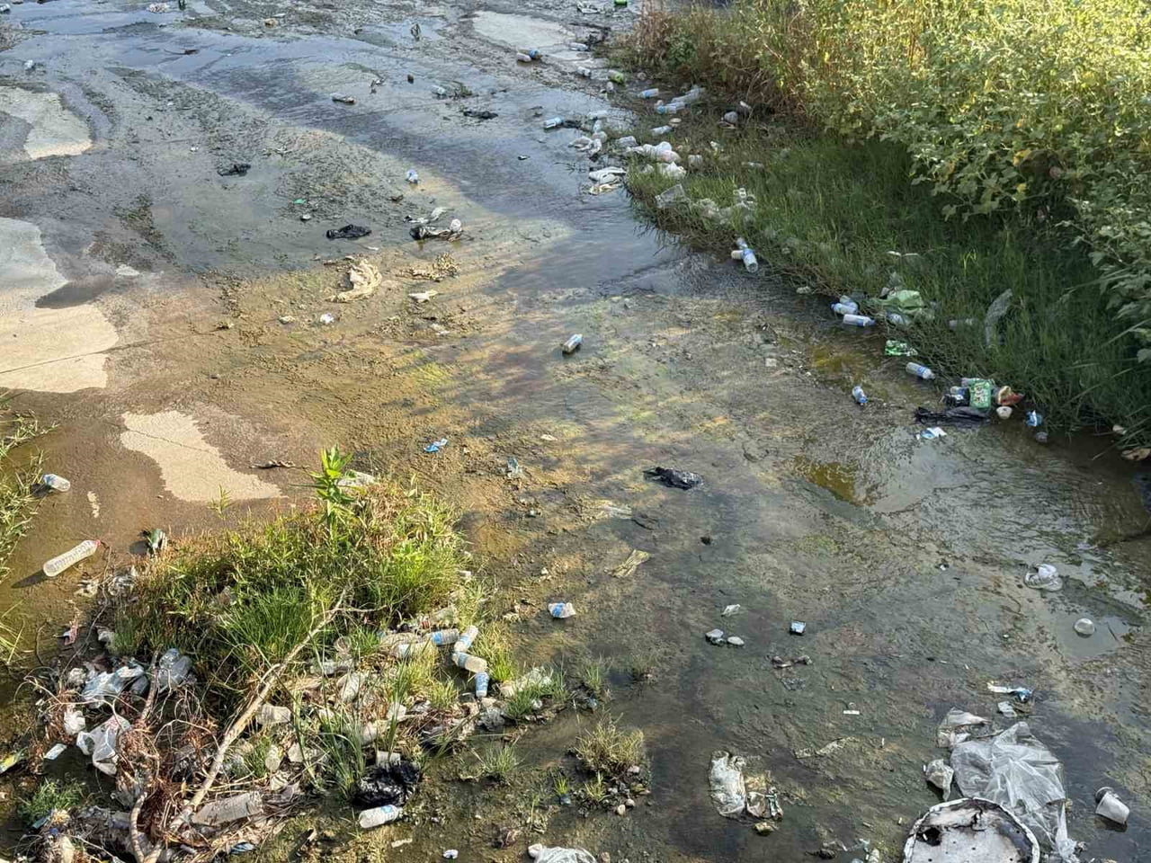 AYDIN’IN EFELER İLÇESİNDEN GEÇEN TABAKHANE DERESİ’NDE BİRİKEN ÇÖPLER ÇEVRE KİRLİLİĞİNE NEDEN OLDU....