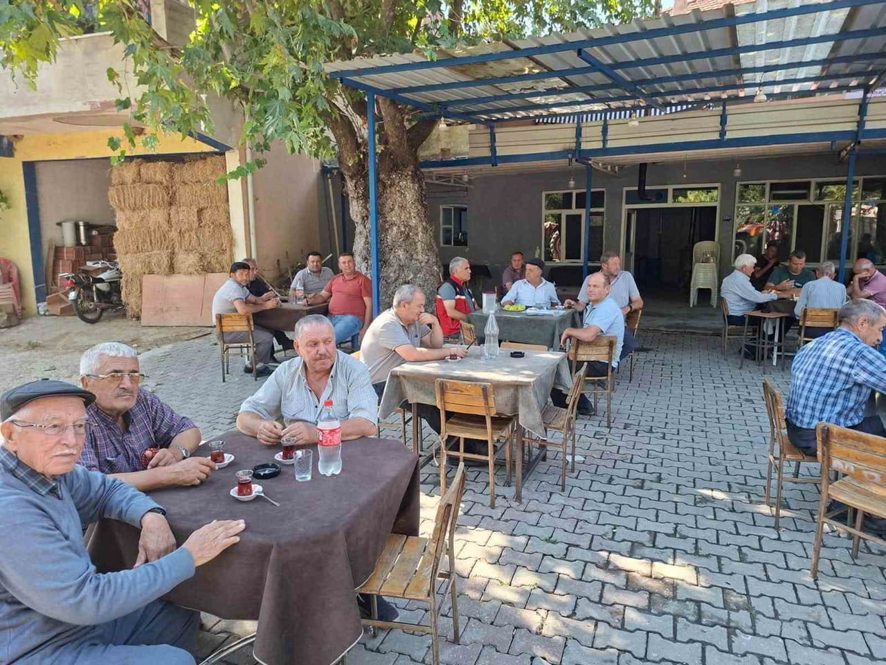 AYDIN’IN NAZİLLİ İLÇESİNDE TARIMSAL ÜRETİMİN GELİŞTİRİLMESİ VE ÜRETİCİLERİN BİLİNÇLENDİRİLMESİ...