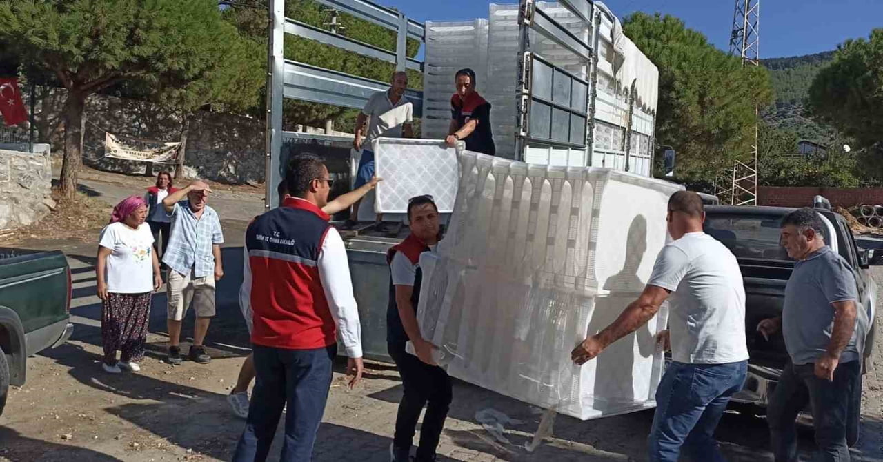 AYDIN’IN SÖKE İLÇESİNDE, KURUTMALIK İNCİR ÜRETİMİNDE HİJYEN VE ÜRÜN KALİTESİNİN ARTIRILMASI...