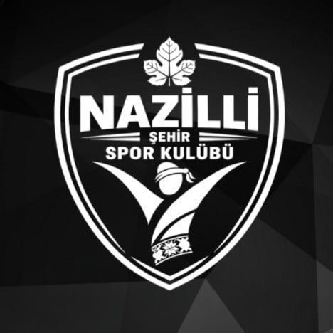 AYDIN SÜPER AMATÖR LİG TEMSİLCİSİ NAZİLLİ ŞEHİR SPOR KULÜBÜ, YENİ SEZON ÖNCESİ TRANSFER ATAĞINA...