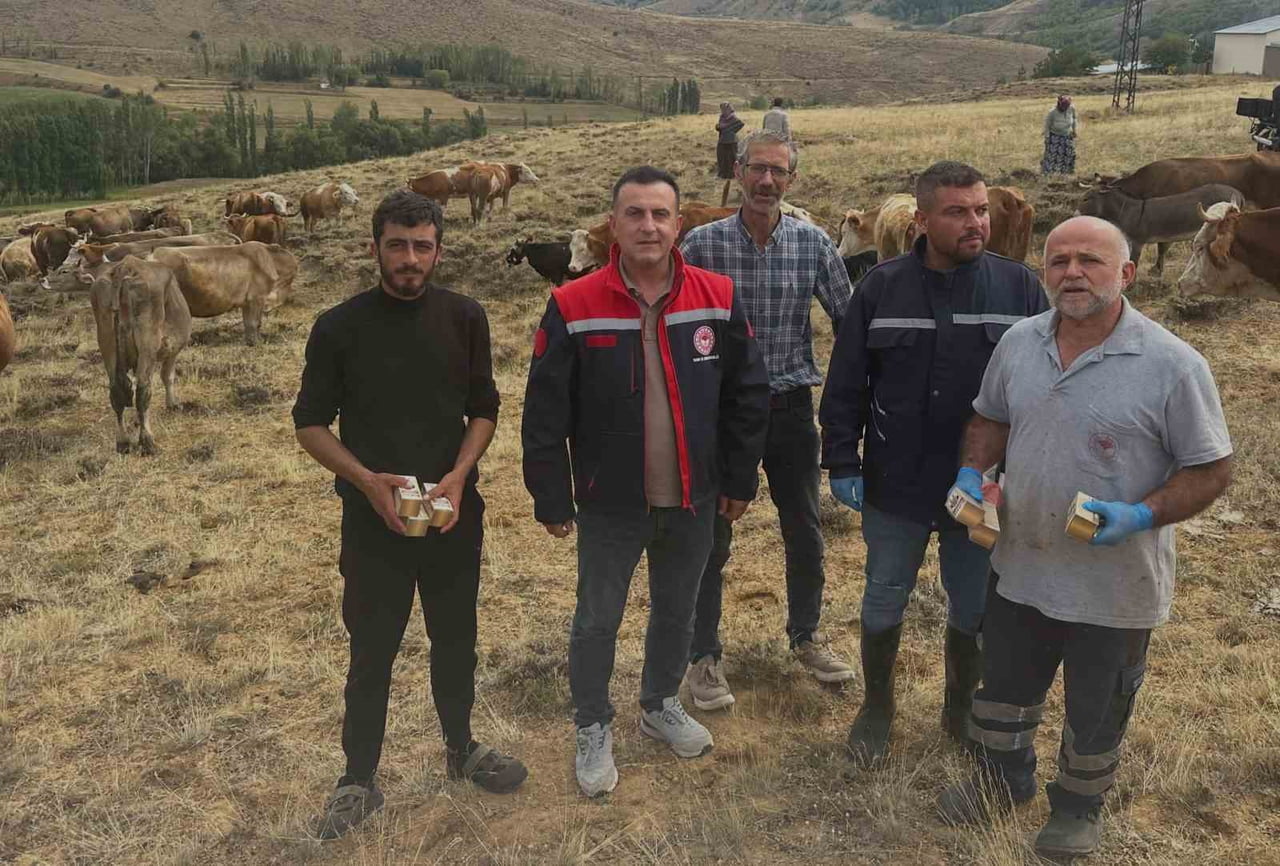 AYDINTEPE’DE HAYVAN YETİŞTİRİCİLERİNE YONCA ZEHİRLENMESİ UYARISI