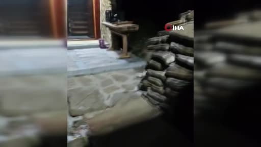 Bahçesine gelen tilki ile dost oldu
