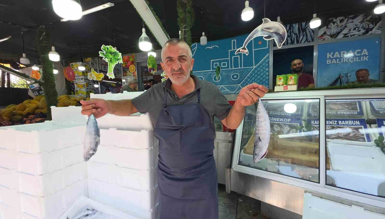 BALIKÇI İSRAFİL IŞIK, BALIĞIN BU YIL BOL OLDUĞUNU SÖYLEDİ.