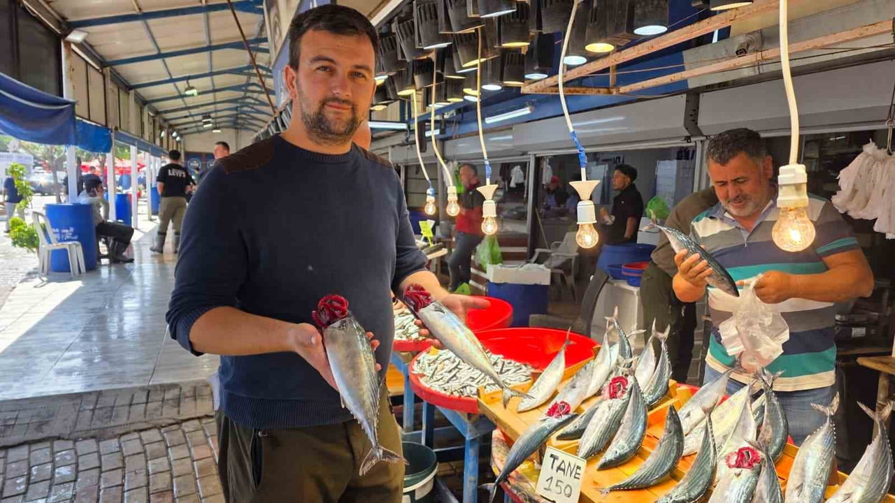 BANDIRMA’DA BALIK TEZGÂHLARINDA PALAMUT BEREKETİ