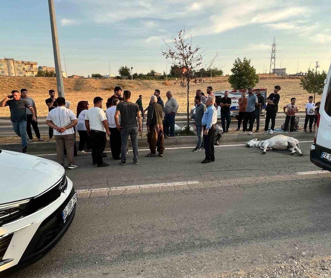 BATMAN'DA HAFİF TİCARİ ARAÇ, YOLA ANİDEN ÇIKAN EŞEĞE ÇARPTI. HAYVAN TELEF OLURKEN, ARAÇTA MADDİ...