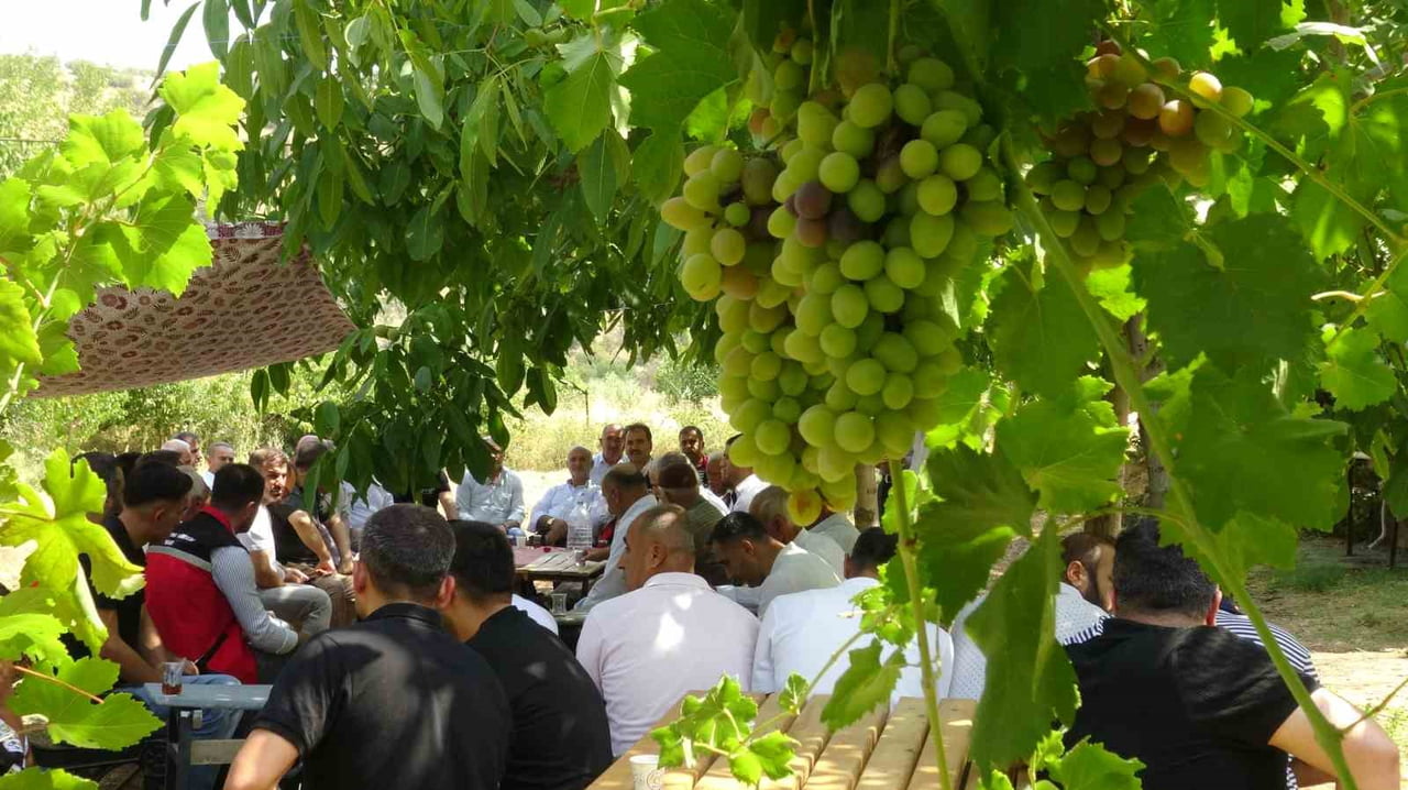 BATMAN'IN GERCÜŞ İLÇESİ BAĞLICA KÖYÜNDE, BÖLGENİN EN ÖNEMLİ DEĞERLERİNDEN BİRİ OLAN MEZRONE...