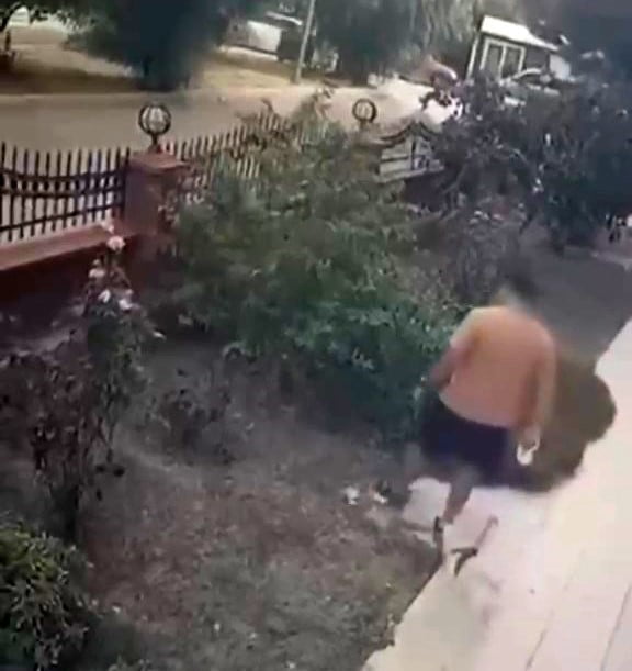 BAYRAKLI İLÇESİNDE BİR APARTMANDAN ÇIKAN ŞAHIS, BİNA ÖNÜNDE YAVRULARIYLA BİRLİKTE DURAN KEDİYE...
