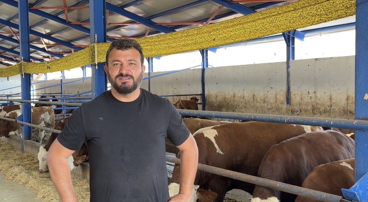 BESİCİ AKİF METİN AYNI HAYVANIN ABİSİNİN DE GEÇEN YIL BENZER BİR FİRARA İMZA ATTIĞINI BELİRTEREK...