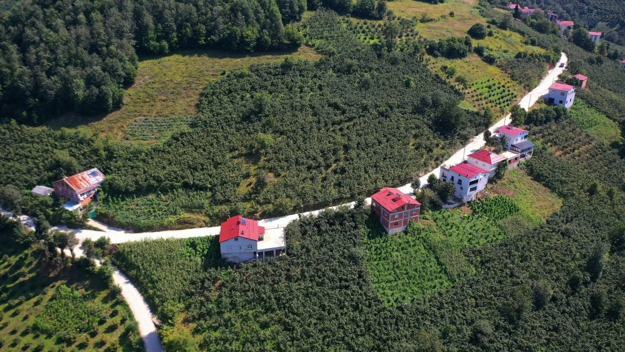 BETON YOL ÇALIŞMASININ YAPILDIĞI GÜZERGAH