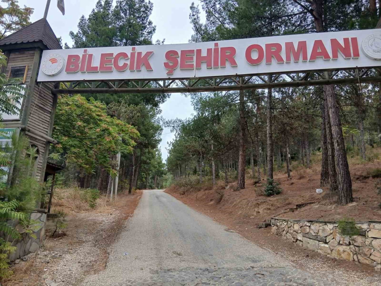BİLECİK ŞEHİR ORMANI'NIN YOLLARI KÖSTEBEK YUVASINA DÖNDÜ