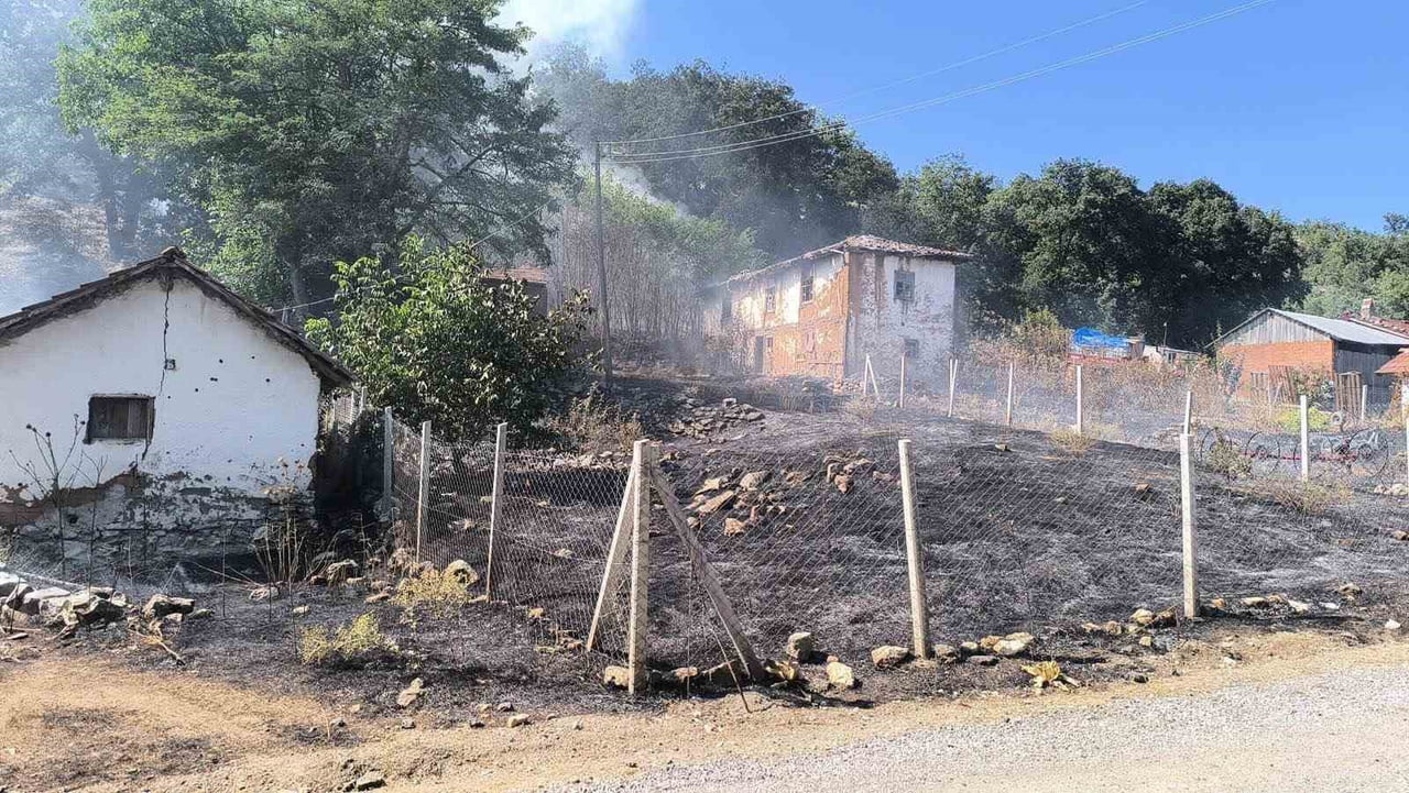 BİLECİK’TE ORMAN YANGININA SEBEBİYET VEREN ŞAHIS GÖZALTINA ALINDI