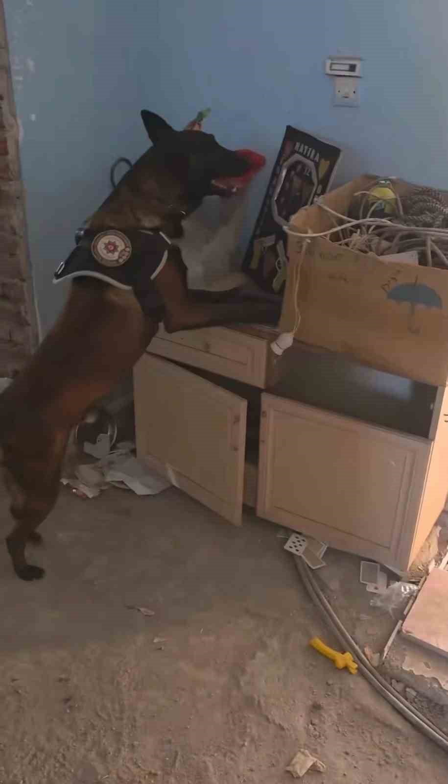 BİNGÖL'DE DÜZENLENEN UYUŞTURUCU OPERASYONUNDA 3 KİLO 73 GRAM ESRAR ELE GEÇİRİLDİ, 1 ŞÜPHELİ...