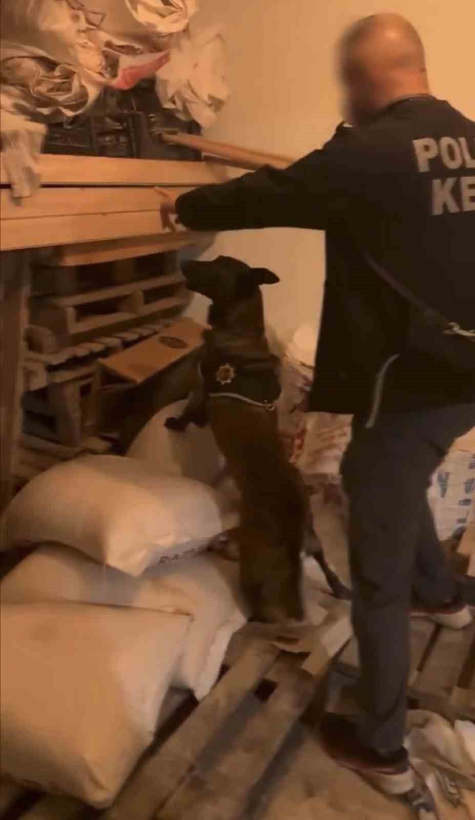 BİNGÖL’DE 39,47 GRAM ESRAR ELE GEÇİRİLDİ: 1 KİŞİ TUTUKLANDI