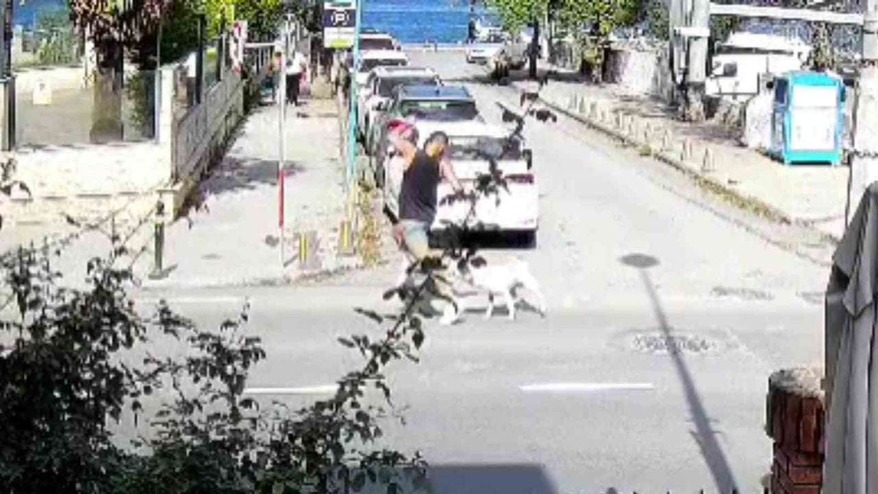 BİR İŞYERİNİN KAMERA KAYITLARINDA SAHİL HATTINDA SPOR YAPAN BİR ADAMA BAŞIBOŞ KÖPEĞİN SALDIRDIĞI...