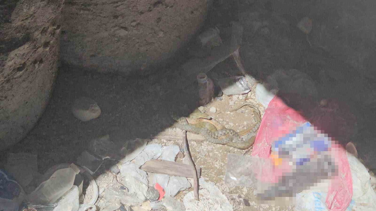 BİTLİS'İN ADİLCEVAZ İLÇESİNDE DAMALI SU YILANLARININ TOPLU ÇİFTLEŞMESİ İHLAS HABER AJANSI (İHA)...