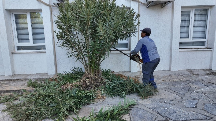 BODRUM BELEDİYESİNDEN OKULLARA BAKIM VE ONARIM DESTEĞİ