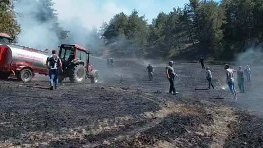 Bolu'da bahçede başlayan yangın ormanlık alana sıçradı