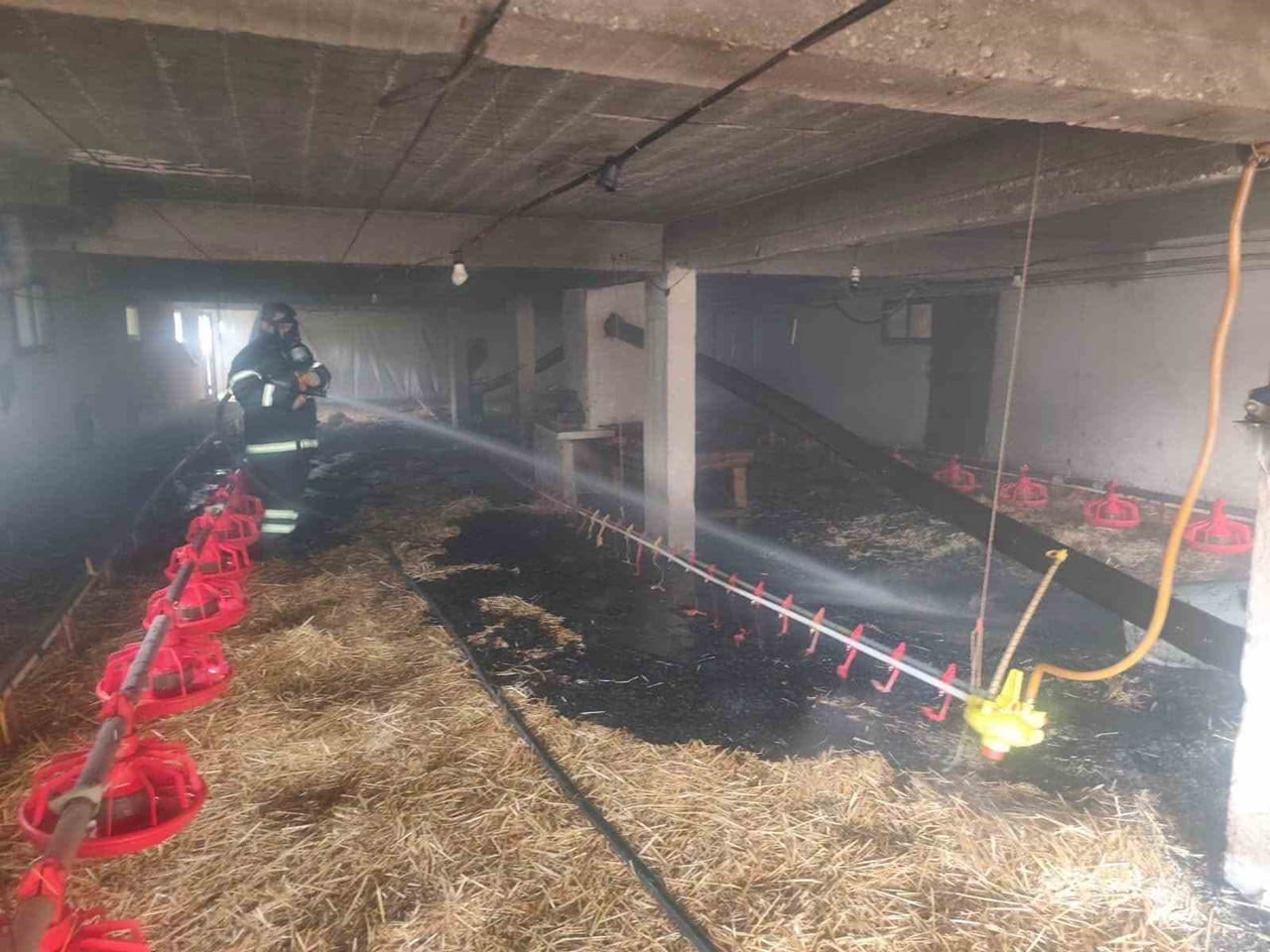 BOLU'NUN MUDURNU İLÇESİNDE, 10 BİN CİVCİV KAPASİTELİ KÜMESTE YANGIN ÇIKTI. CİVCİVLERİN GELMESİ...