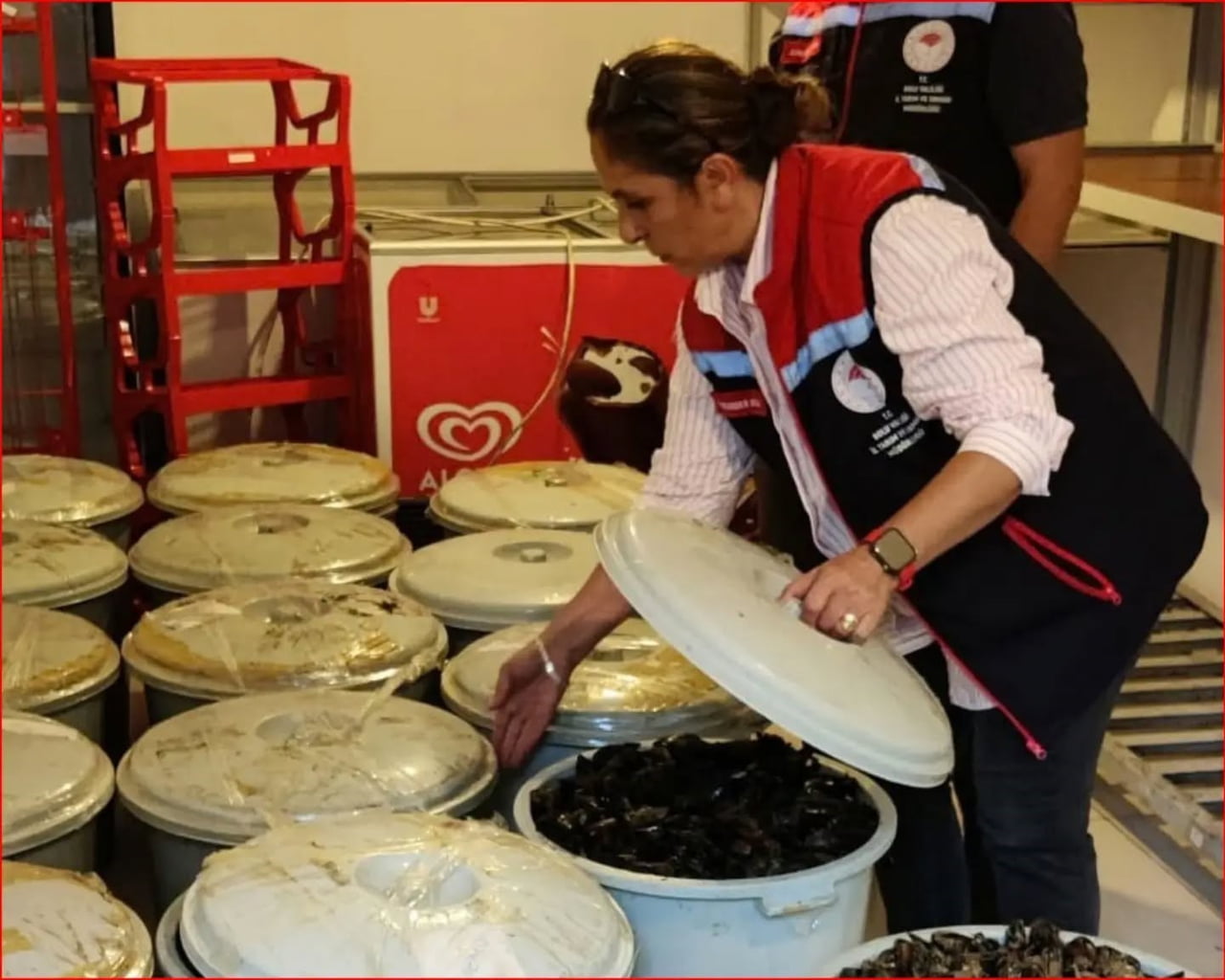 BOLU’DA JANDARMA EKİPLERİNİN DENETİMİNDE, 18 KOVADA YAKLAŞIK 650 KİLO MENŞEİ BELİRSİZ VE BOZULMUŞ...