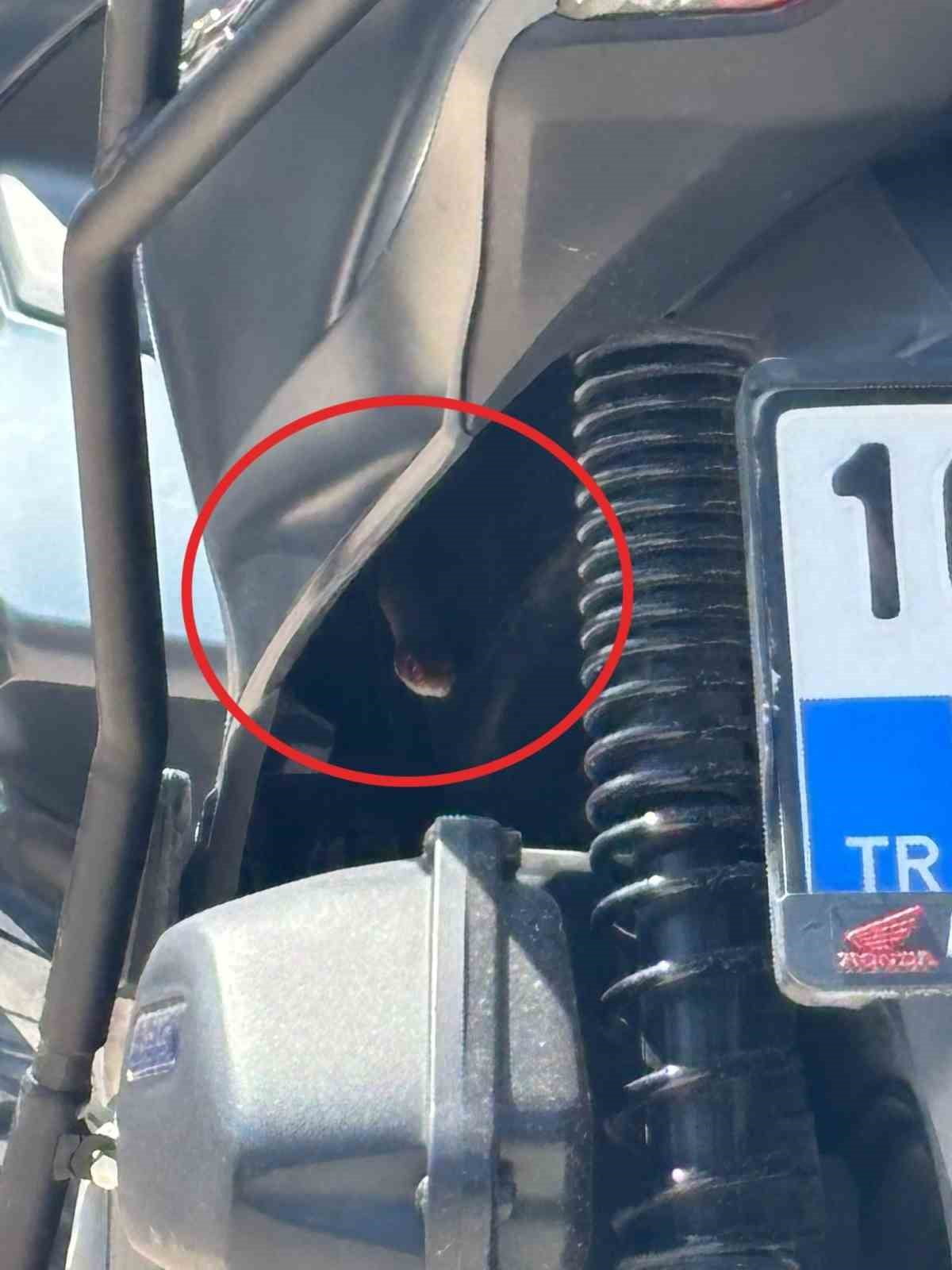 BURSA’DA MOTOSİKLETTEN ÇIKAN YILAN ŞOKE ETTİ