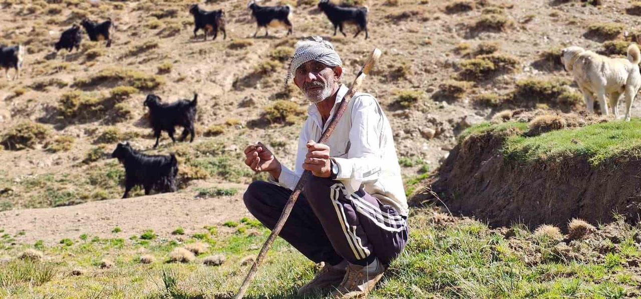 BURSA’DAN KÖYÜNE DÖNDÜ, HAYVANCILIKLA GEÇİMİNİ SAĞLIYOR