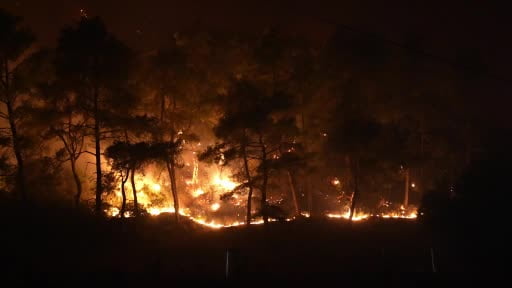 Büyükşehir ekipleri yangında can dostlar için seferber oldu