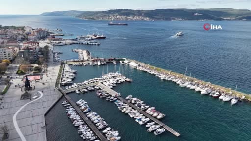 Çanakkale'de Mavi denizanaları için önemli uyarı: " Mavi denizanaları insan sağlığı açısından bir...