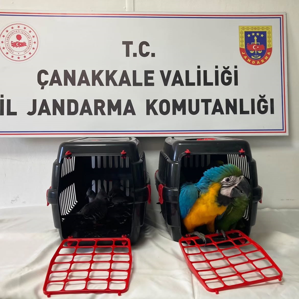 ÇANAKKALE 1915 KÖPRÜSÜ GİŞELERİNDE GEÇİŞİ SIRASIN DA ŞÜPHELİ BULUNAN ARAÇTA JANDARMA EKİPLERİ...