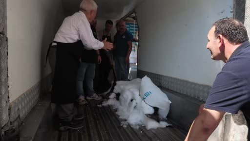 Çanakkale’de yakalanan devasa kılıç balığı 2 gün boyunca Beylikdüzü'nde sergilenecek