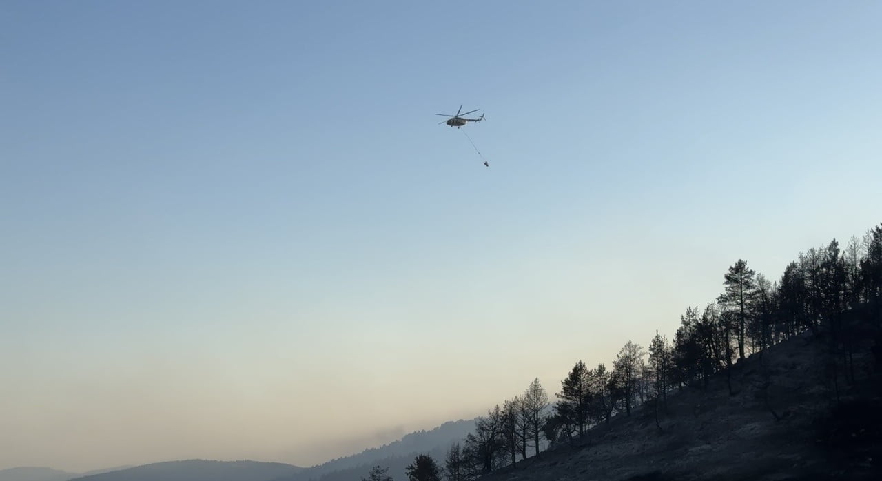 ÇANKIRI VE ANKARA SINIRINDA BULUNAN ORMANLIK ALANDA ÇIKAN YANGIN, 60 PERSONEL 14 ARAÇ VE 1...