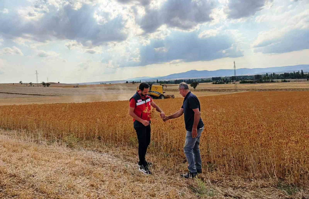 ÇAVDARHİSAR’DA YÜZDE 75 HİBELİ ASPİRLERİN HASADI YAPILDI