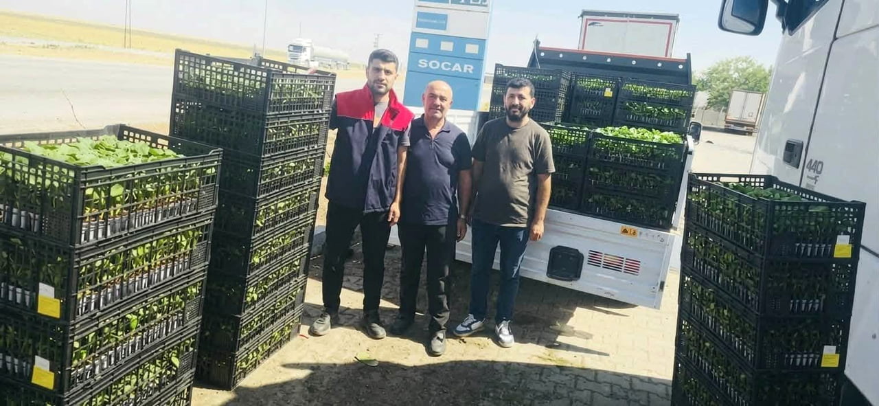 CİZRE İLÇESİNDE, TARIMSAL ÜRETİMİ ARTIRMAK VE ÇİFTÇİLERİN GİRDİ MALİYETLERİNİ DÜŞÜRMEK AMACIYLA...
