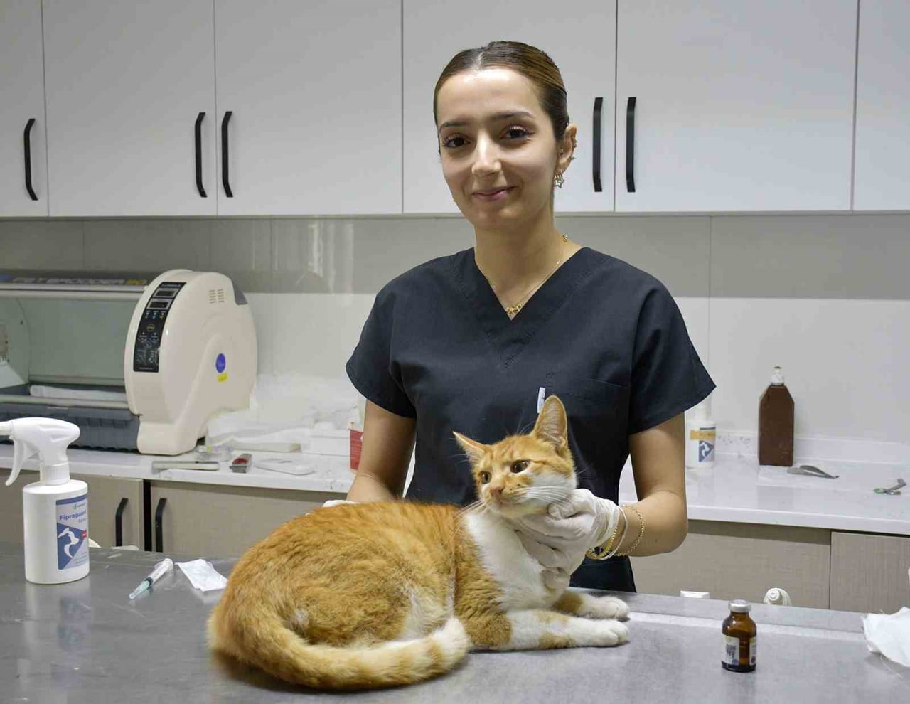 DAVUTLAR KEDİ KISIRLAŞTIRMA MERKEZİ’NDE HİZMETE GİRDİĞİ GÜNDEN BU YANA BİN 797 SOKAK KEDİSİ TEDAVİ...