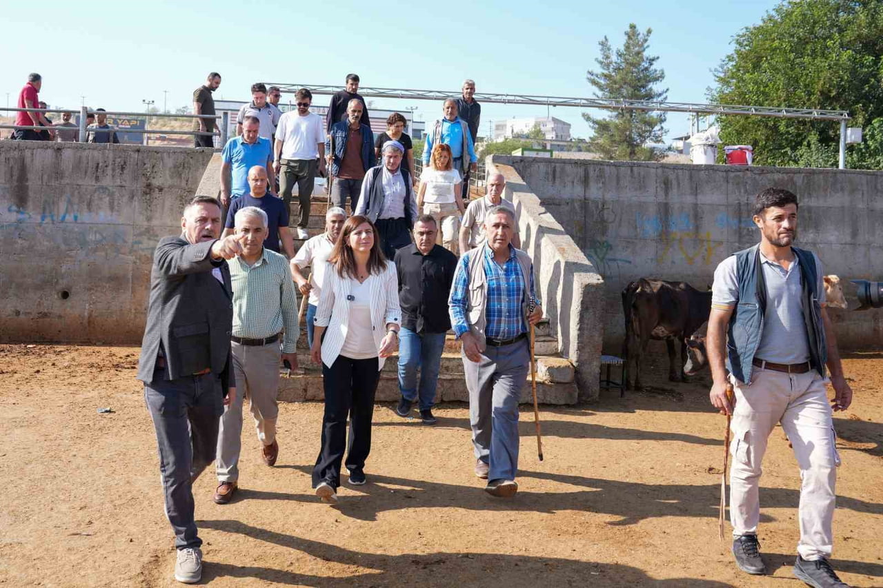 DİYARBAKIR BÜYÜKŞEHİR BELEDİYESİ EŞBAŞKANI SERRA BUCAK, HAYVAN BORSASINDA ESNAF VE VATANDAŞLARIN...