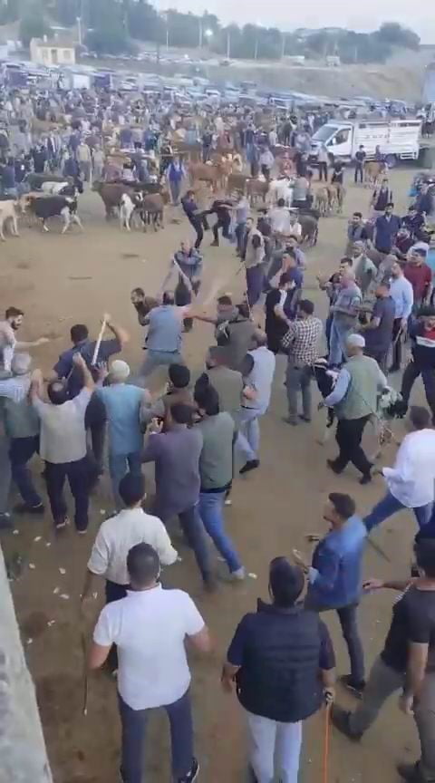 DİYARBAKIR’DA CANLI HAYVAN BORSASINDA ÖNCEKİ GÜN ALACAK VERECEK MESELESİ NEDENİ İLE ÇIKAN KAVGADA...