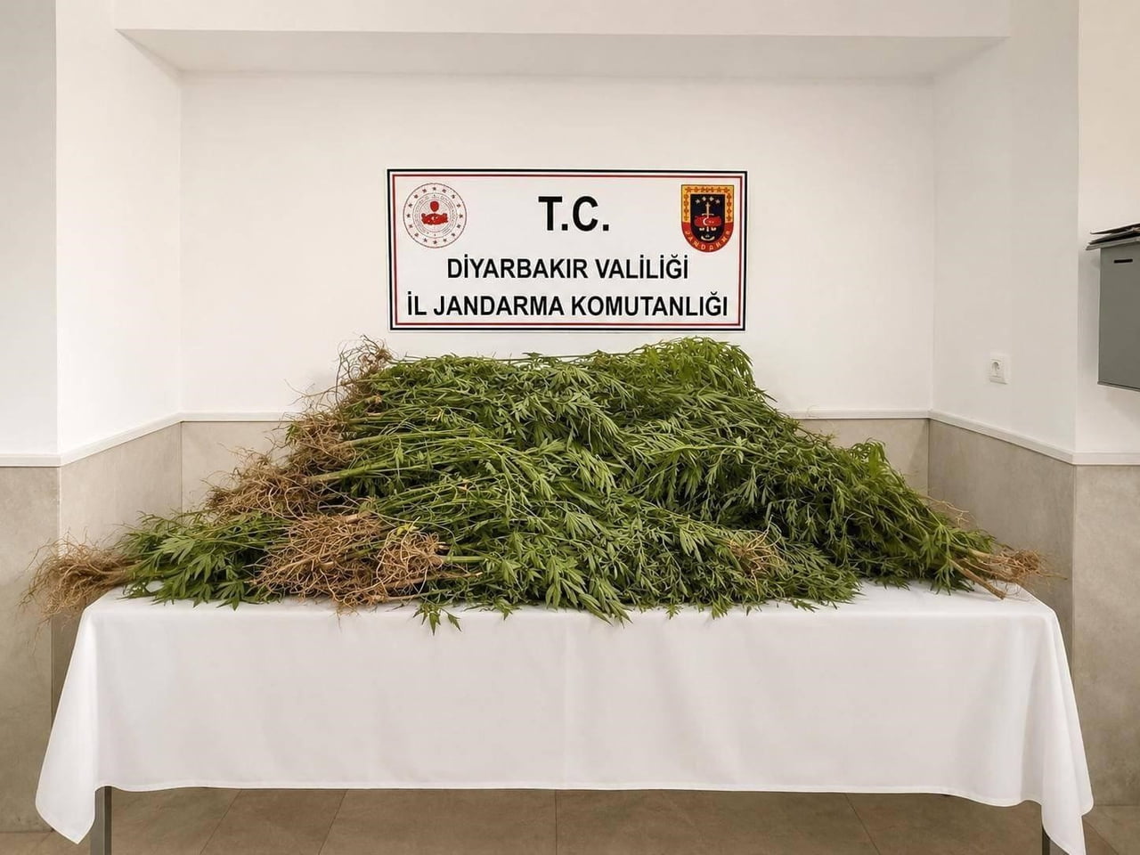 DİYARBAKIR’DA JANDARMA EKİPLERİNCE DÜZENLENEN OPERASYONLARDA 144 BİN 398 KÖK KENEVİR VE 5.3 KİLO...
