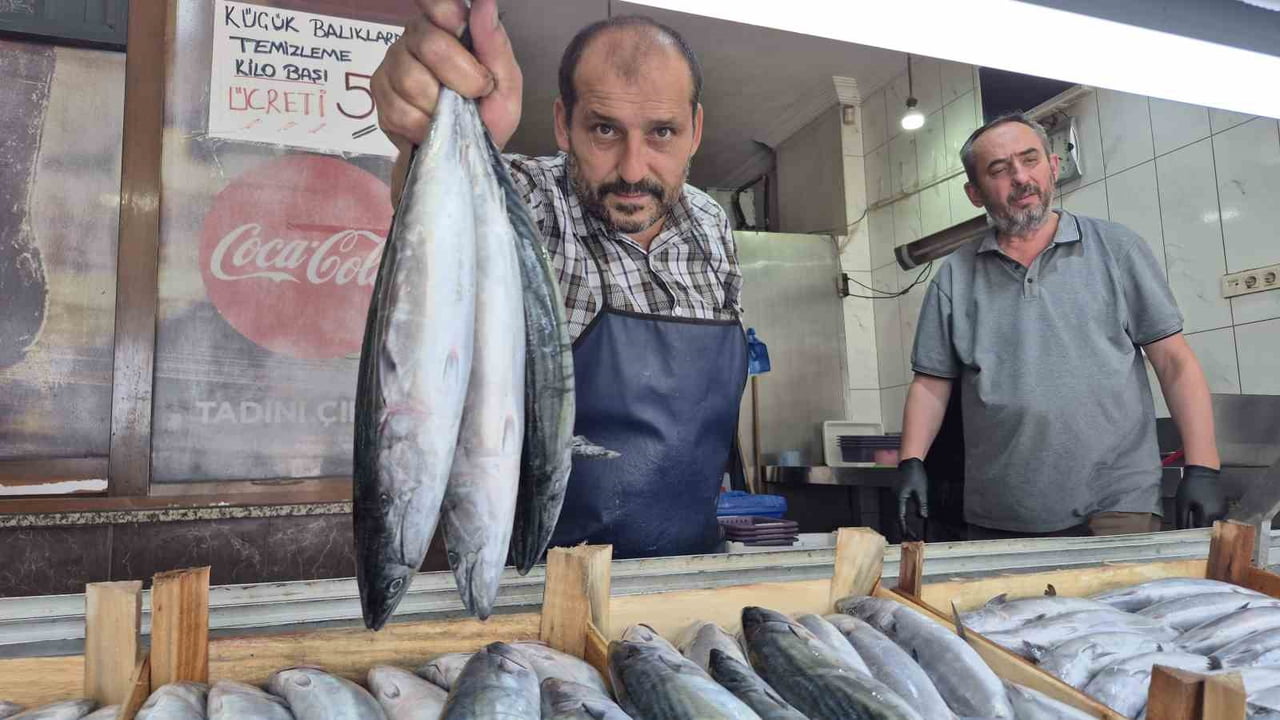 DÜZCE'DE BALIK SEZONUNUN 1 EYLÜL'DE AÇILMASIYLA BİRLİKTE TEZGAHLAR PALAMUT VE HAMSİ BOLLUĞUYLA...
